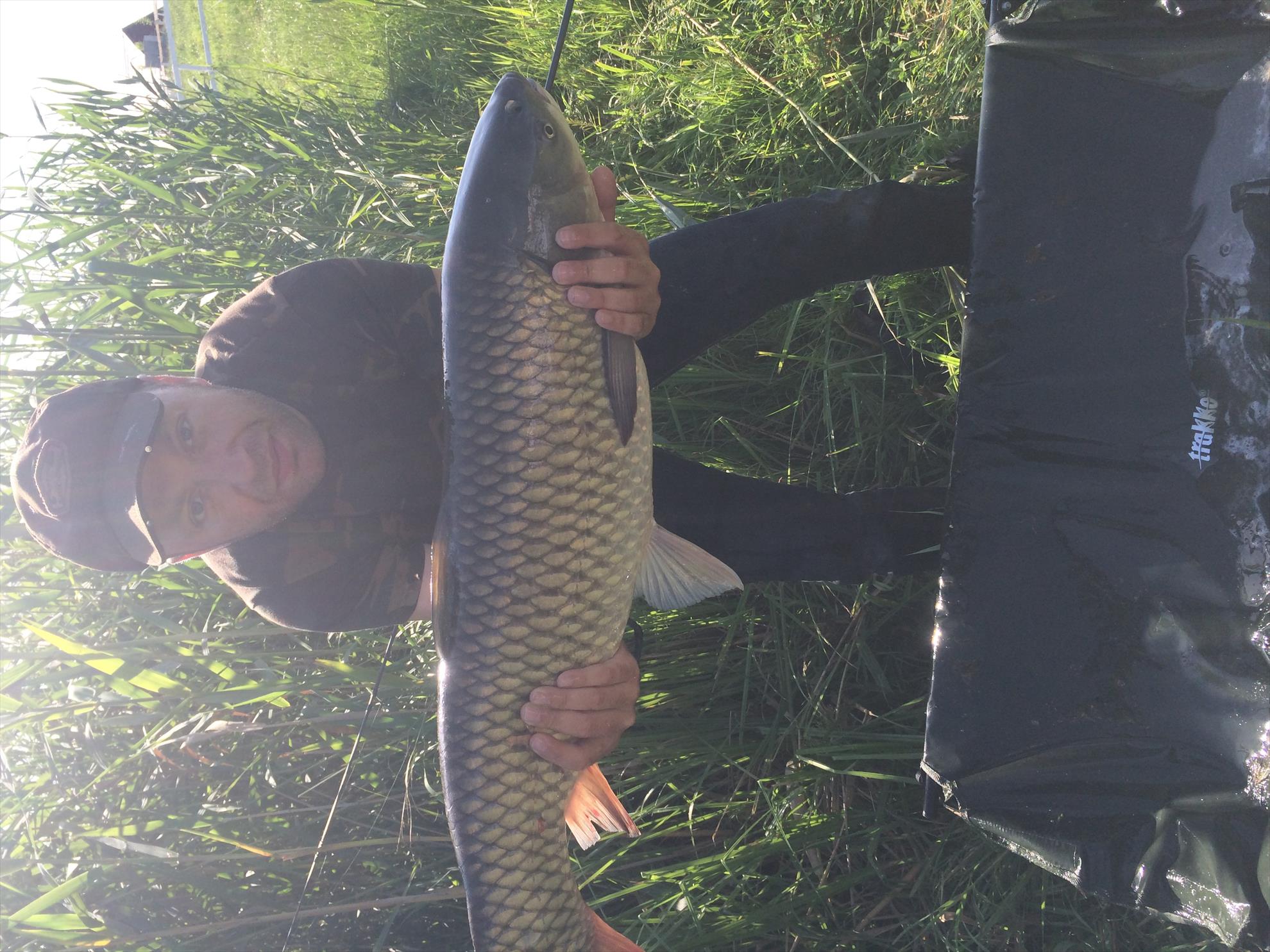 Pescuit Balta Lazar 6-8 iunie 2014 - img0668.JPG